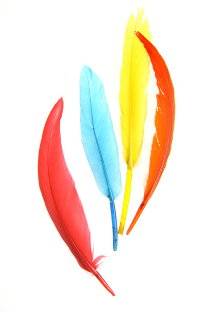 kleurrijke veren - Foto, afbeelding