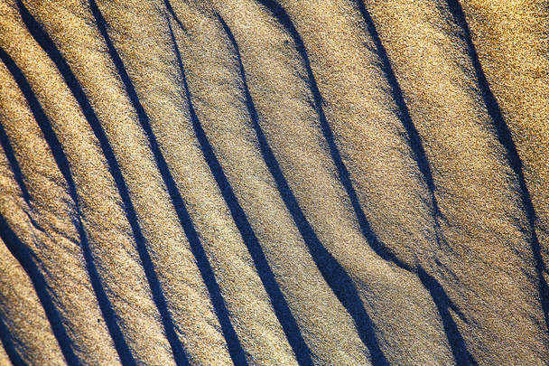   espanha textura abstrata de uma areia de terra quebrada seca e líquenes
  - Foto, Imagem