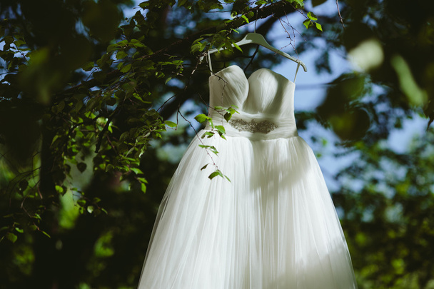 Свадебное платье висит на дереве - Фото, изображение