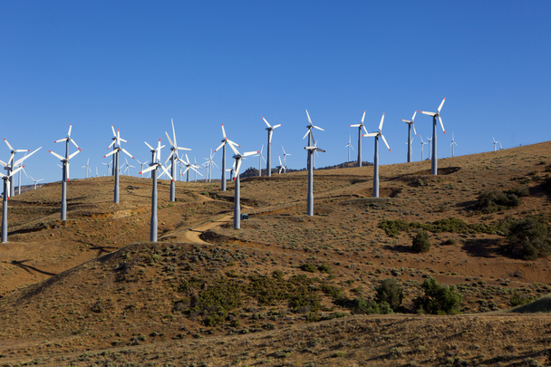 wiele turbin wiatrowych na wzgórzu - Zdjęcie, obraz