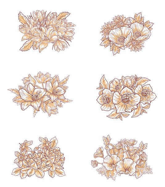 conjunto floral en blanco
 - Vector, Imagen