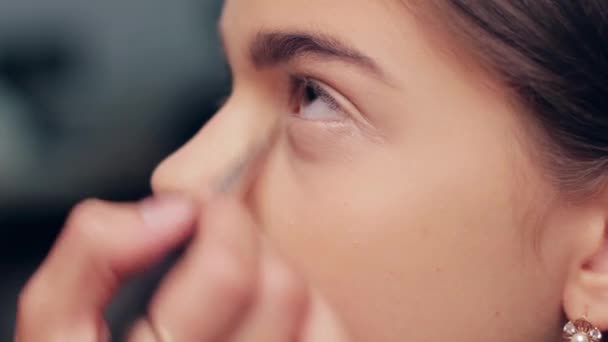 Make-up artist make-up voor de actrice. - Video