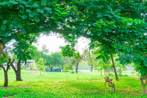 Κόκκινου ποδηλάτου στο κήπο πράσινο χορτοτάπητα - Φωτογραφία, εικόνα