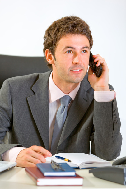 Happy modern businessman sitting at office and speaking mobile - 写真・画像