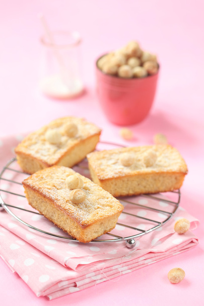 Blondies - White Chocolate Cakes with Macadamia Nuts - Фото, зображення
