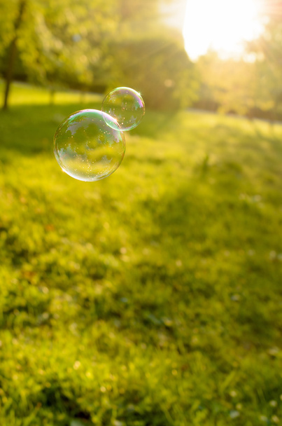 Soap bubbles floating on a green lawn. - Photo, Image