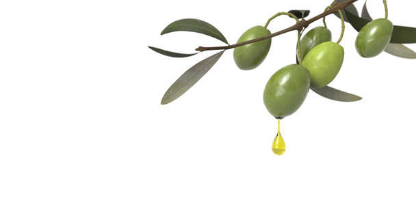 olive branch with drop of oil - Photo, Image