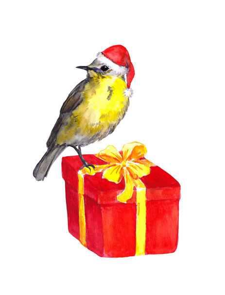 Bird in red santa hat on red christmas present box. Watercolor - Zdjęcie, obraz