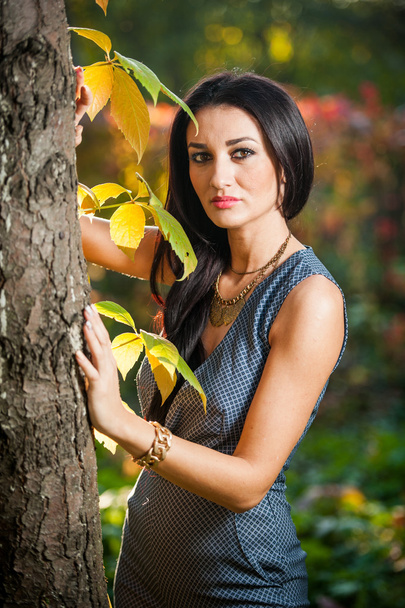 Beautiful woman in gray posing in autumnal park. Young brunette woman spending time in autumn near a tree in forest. Long dark hair attractive woman smiling with faded leaves around her, outdoors shot - Foto, Imagem