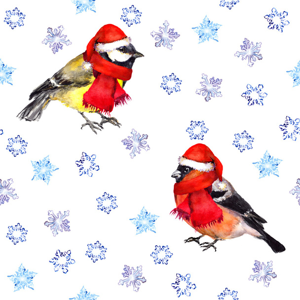 Seamless pattern with snowflakes and christmas birds in red hats - Foto, Imagem