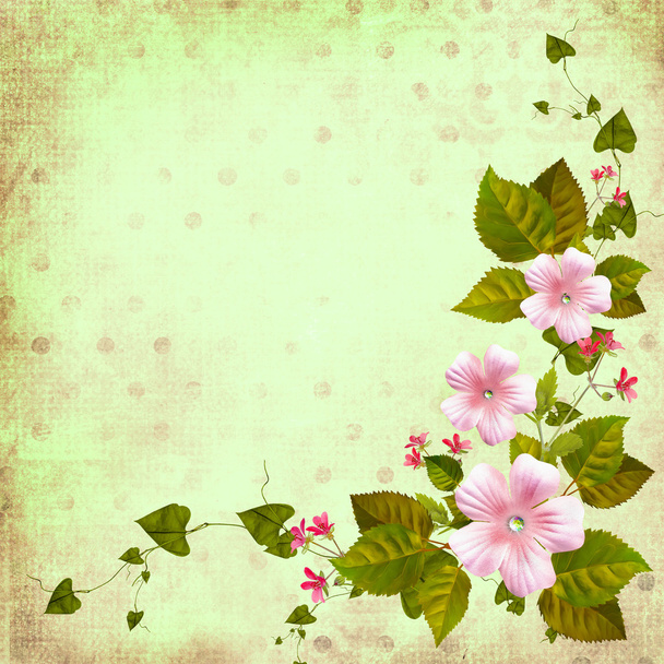 Листівка з кутовою композицією з квітів на ніжному зеленому фоні
. - Фото, зображення