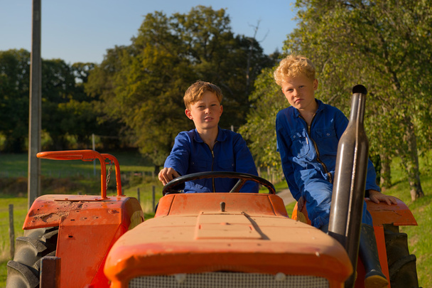 Farm Boys with tractor - Valokuva, kuva