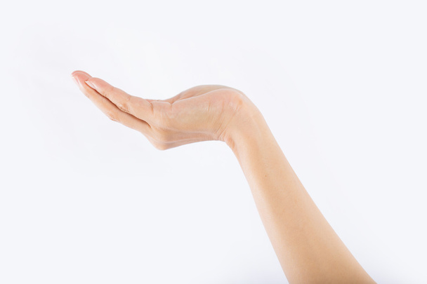 Kadın elleri beyaz arkaplanda - Fotoğraf, Görsel