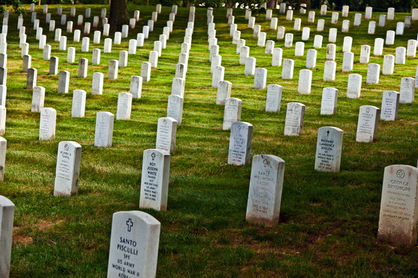 Надгробия на Арлингтонском национальном кладбище
 - Фото, изображение