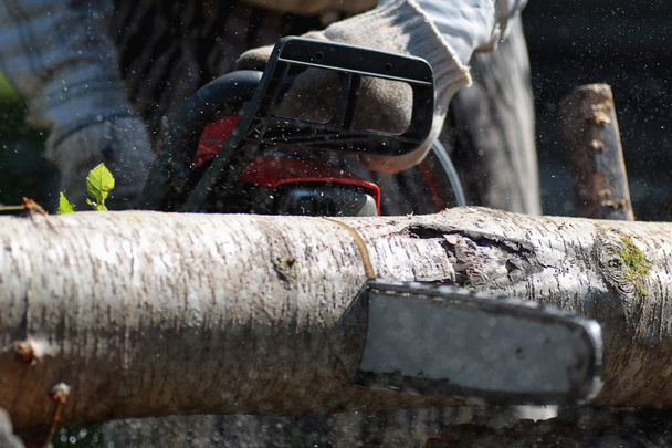 бензопила для рубки дров
 - Фото, изображение