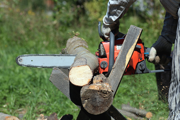 motosierra para cortar leña
 - Foto, Imagen