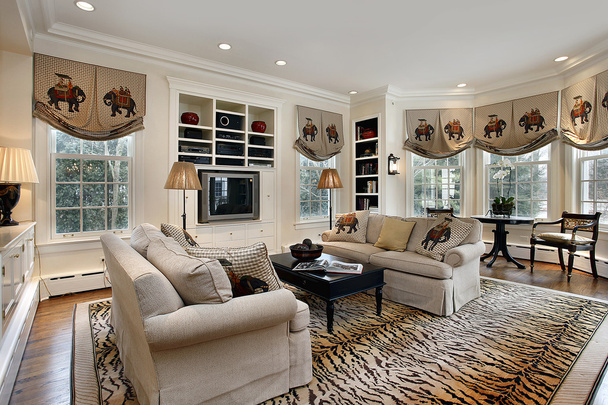 Family room with built in cabinets - Foto, imagen