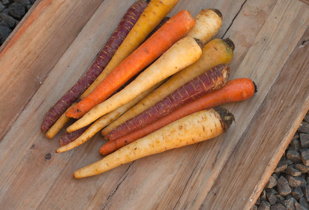 different colored fresh picked assorted carrots and parsnips on wooden background - Photo, Image