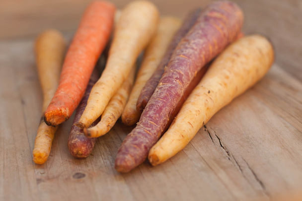 carote e pastinache assortite fresche raccolte di diversi colori su sfondo di legno
 - Foto, immagini
