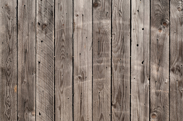 Gray textured background closeup - Photo, Image