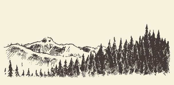 Ręcznie rysowane krajobraz jodła Las i łąka szkic - Wektor, obraz