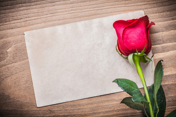 paper with red rose - Photo, image