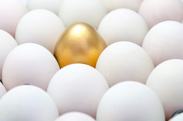 Χρυσά αυγά μεταξύ τα άσπρα αυγά - Φωτογραφία, εικόνα