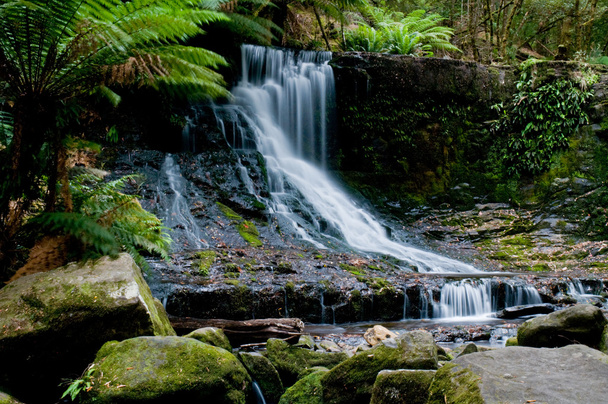 vodopád v hlubokém lese - Fotografie, Obrázek