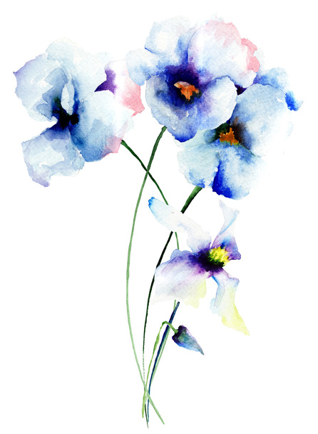 Blue pansy flowers - 写真・画像
