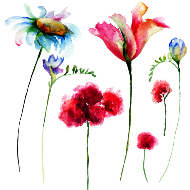 Set of original watercolor flowers - Photo, Image