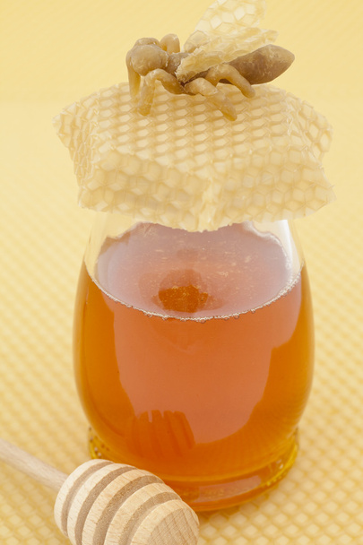 Honey in glass - Photo, Image