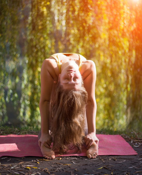 Young woman doing yoga in morning autumn park - Zdjęcie, obraz