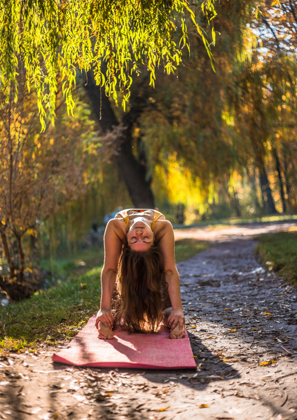 Young woman doing yoga in morning autumn park - Φωτογραφία, εικόνα