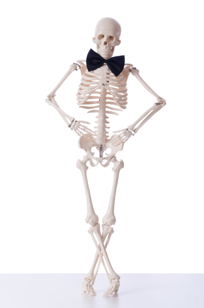 Смішний скелет ізольовано на білому
 - Фото, зображення