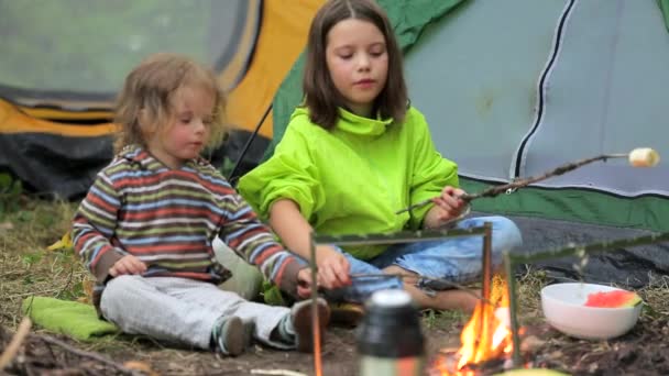 Children roasting marshmallows - Footage, Video
