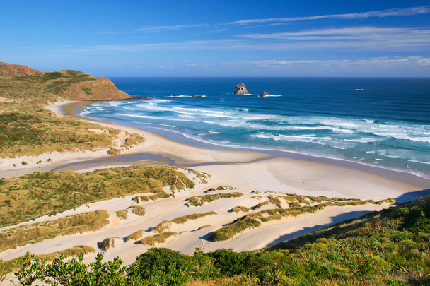 Piękna zaprasza plaży Nowa Zelandia - Zdjęcie, obraz