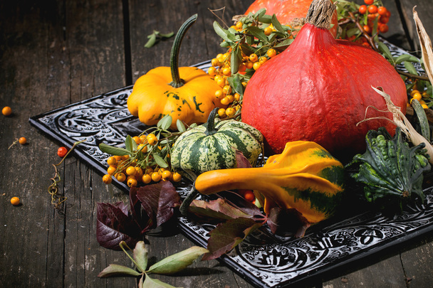 Assortment of different pumpkins and berries - Photo, Image