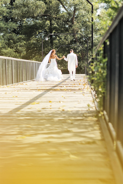 Beautiful bride and groom celebrating their wedding day in the park - Zdjęcie, obraz