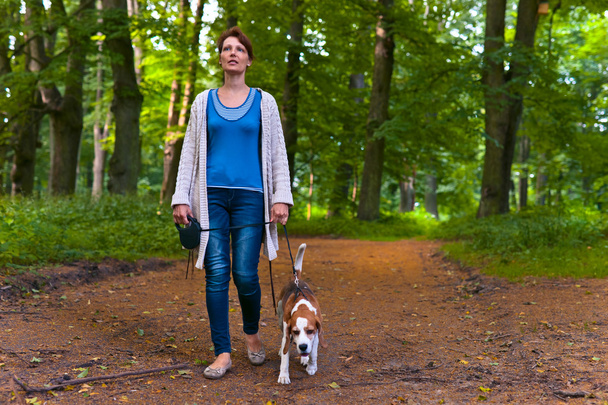 Femme avec beagle marchant dans le parc
 - Photo, image