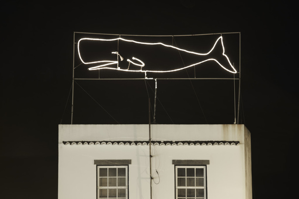 Σπερματοζωάρια φάλαινα νέον φως πάνω από ένα κτίριο στις Αζόρες. Πορτογαλία - Φωτογραφία, εικόνα