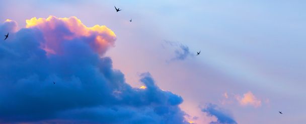 Абстрактне драматичне блакитне небо Світлий фон
 - Фото, зображення