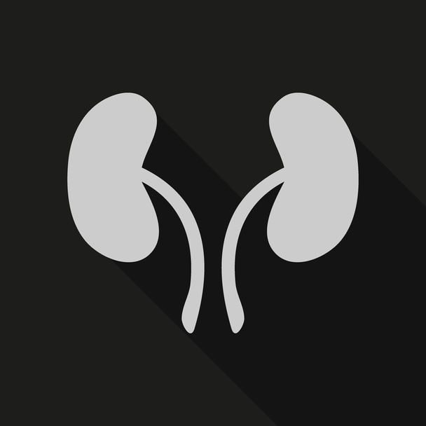 Nieren symbool, vectorillustratie - Vector, afbeelding