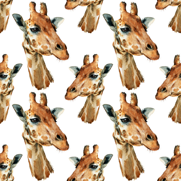 pattern with giraffe - Foto, Imagem