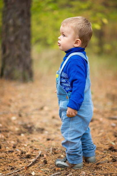 baby boy in a forest - Foto, afbeelding