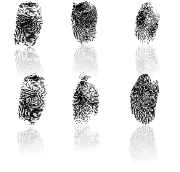 Set of fingerprints, vector illustration isolated on white - Vector, Image