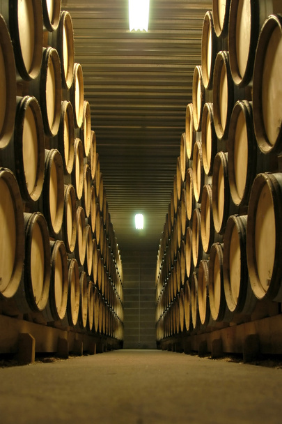 ブルゴーニュのワイン貯蔵室 - 写真・画像