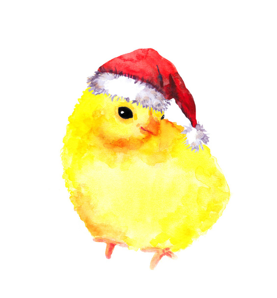 New year baby chicken in red santas hat. Watercolour bird - Foto, immagini
