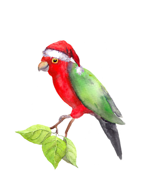 Funny character xmas tropical parrot in red santas hat. - Foto, imagen