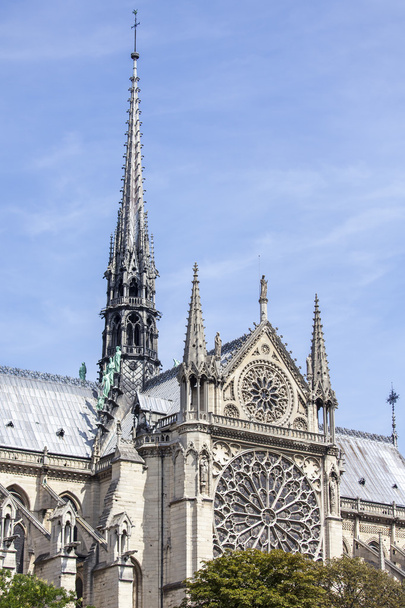 PARIS, FRANCE, on AUGUST 30, 2015. Architectural details of Notre-Dame de Paris. Notre-Dame de Paris is one of symbols of Paris. - Photo, image