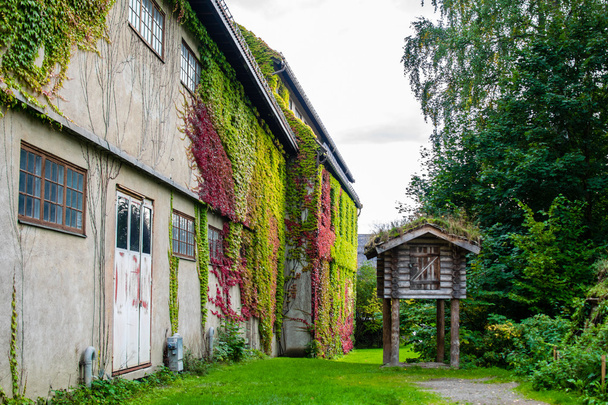 Norjan kulttuurihistorian museo (Norsk Folkemuseum) ulkoilmanäyttely
 - Valokuva, kuva